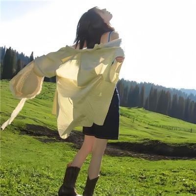 吉姆·加菲根:喜剧怪兽